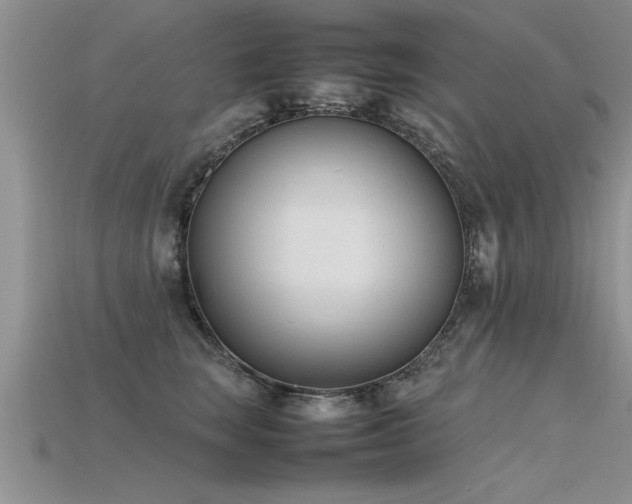 X0000115760663200911131157