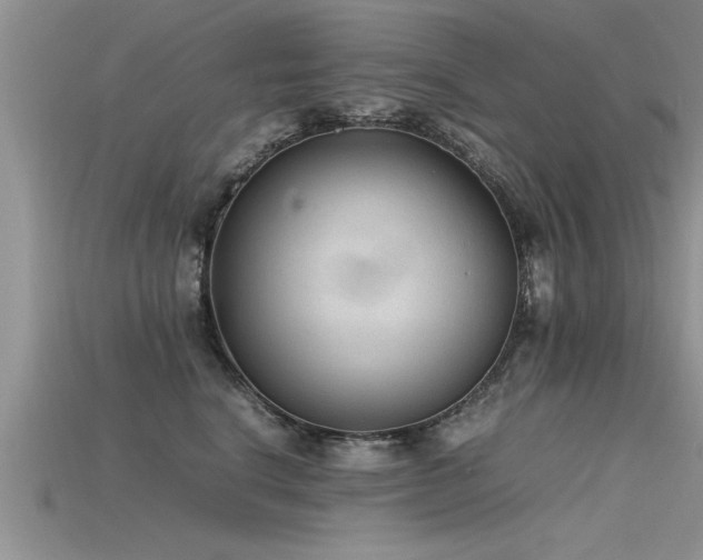X0000115760664200911131157
