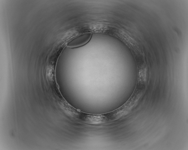 X0000115760671200911131157