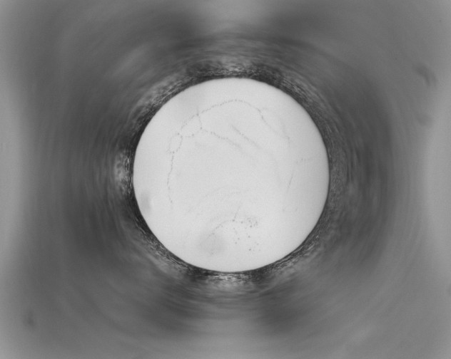 X0000115760672200911131157