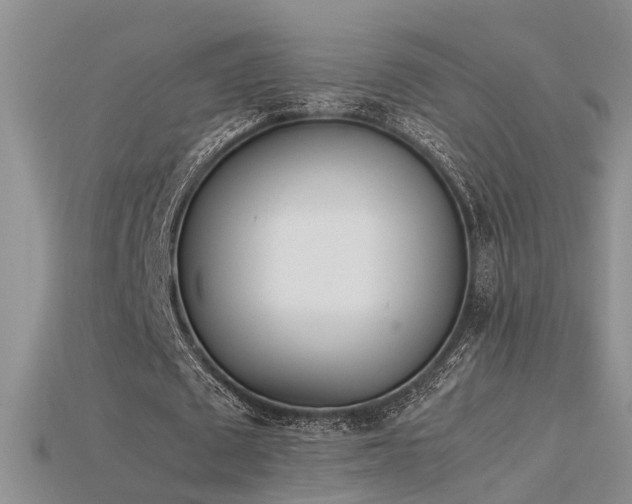 X0000115760673200911131156
