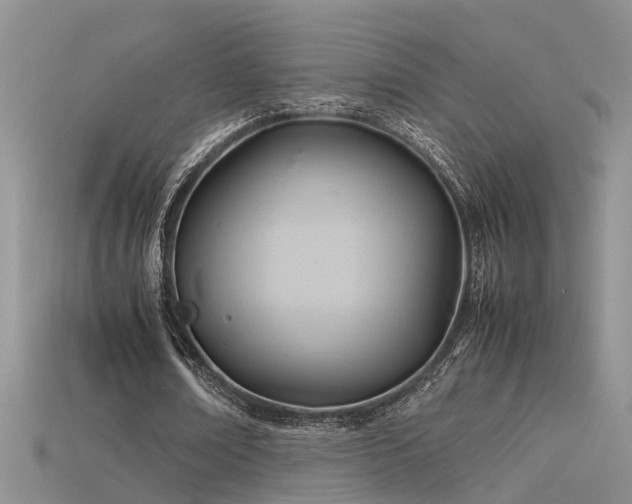 X0000115760674200911131156