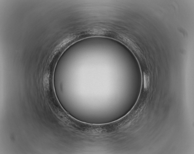 X0000115760675200911131156