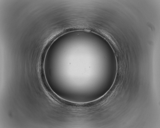 X0000115760677200911131156
