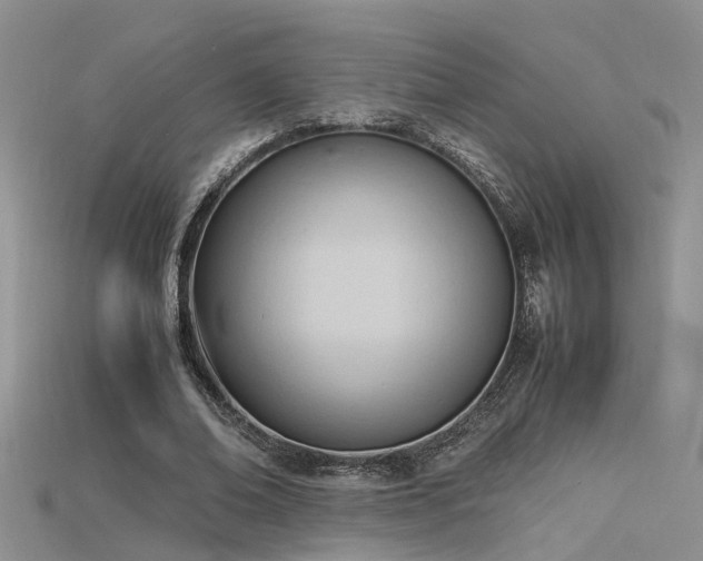 X0000115760678200911131156