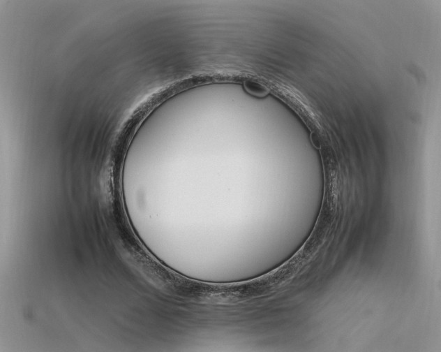 X0000115760680200911131156