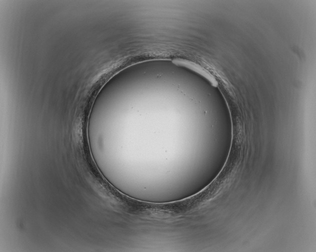 X0000115760681200911131156