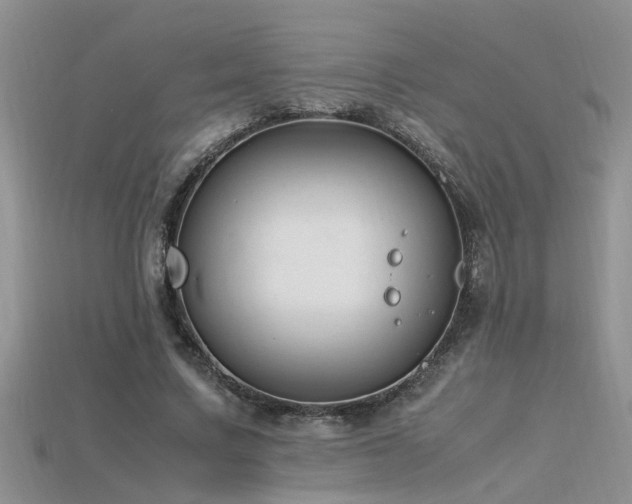 X0000115760683200911131156