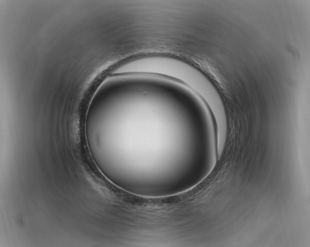 X0000115760684200911131156