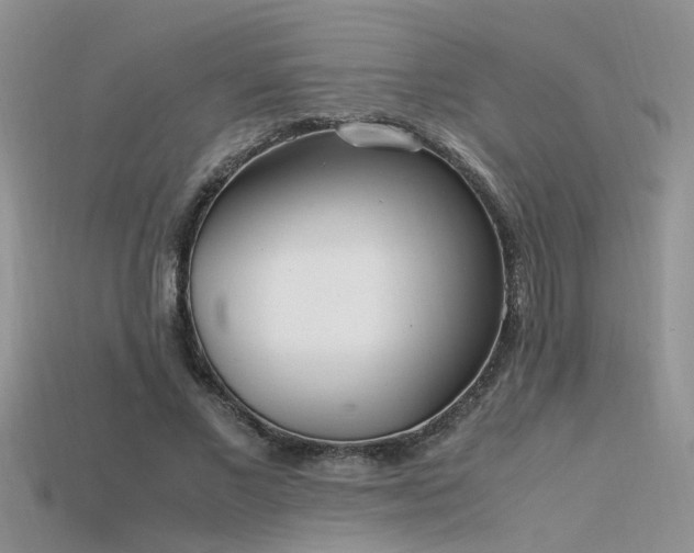 X0000115760685200911131156