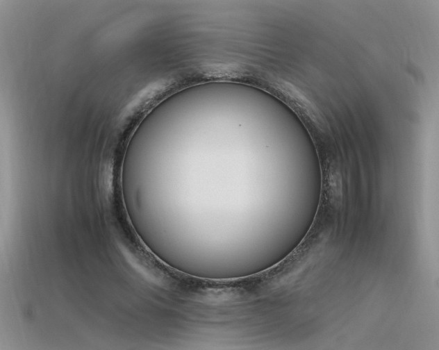 X0000115760686200911131156