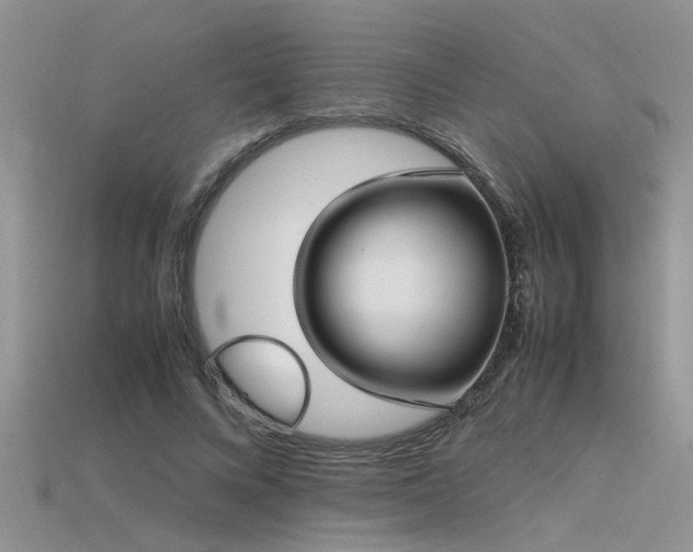X0000115760688200911131156