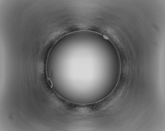 X0000115760689200911131156