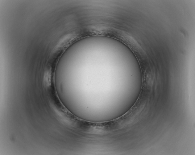 X0000115760694200911131156