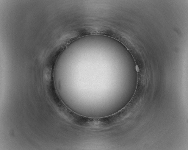 X0000115760695200911131156
