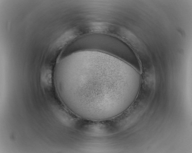 X0000115760696200911131156