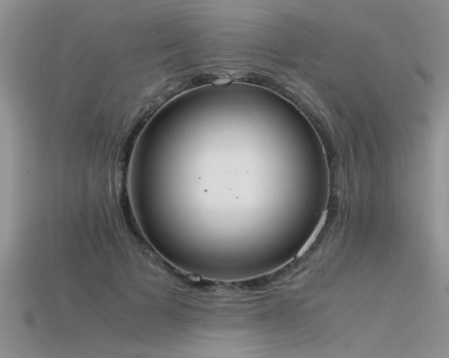 X0000115760697200911131156