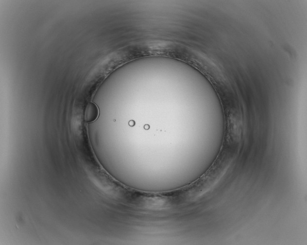 X0000115760698200911131156