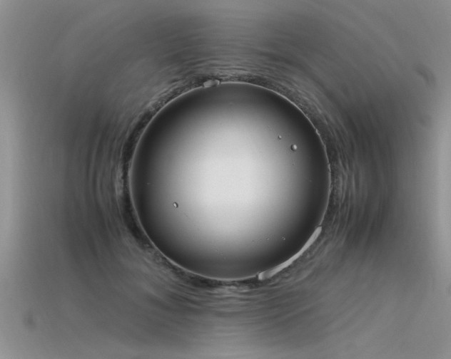 X0000115760700200911131156
