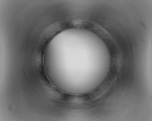 X0000115760702200911131156