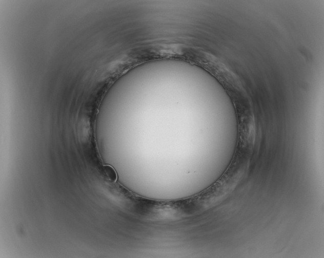 X0000115760704200911131156
