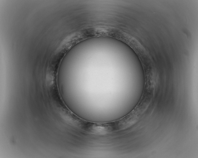 X0000115760706200911131156
