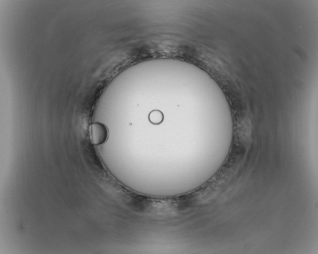 X0000115760709200911131156
