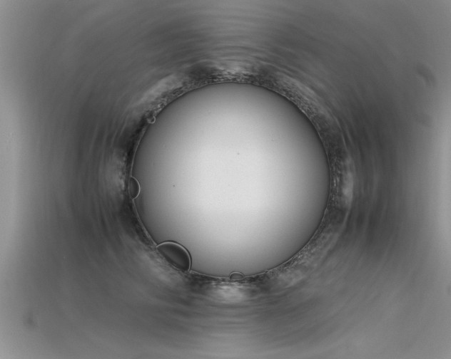 X0000115760710200911131156