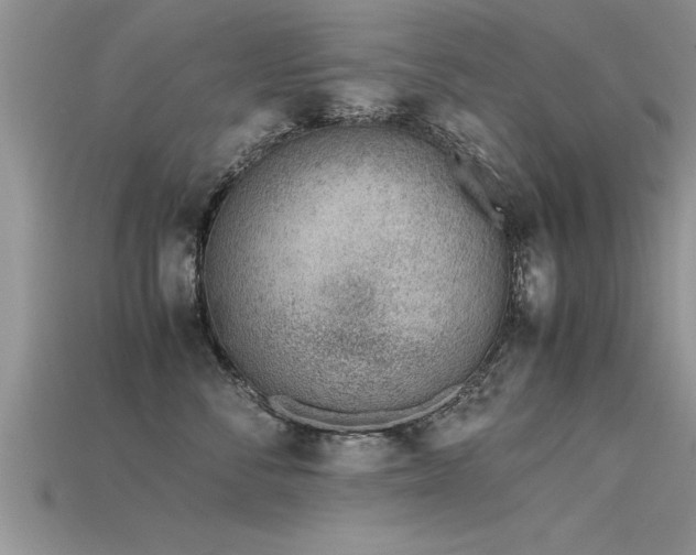 X0000115760716200911131156