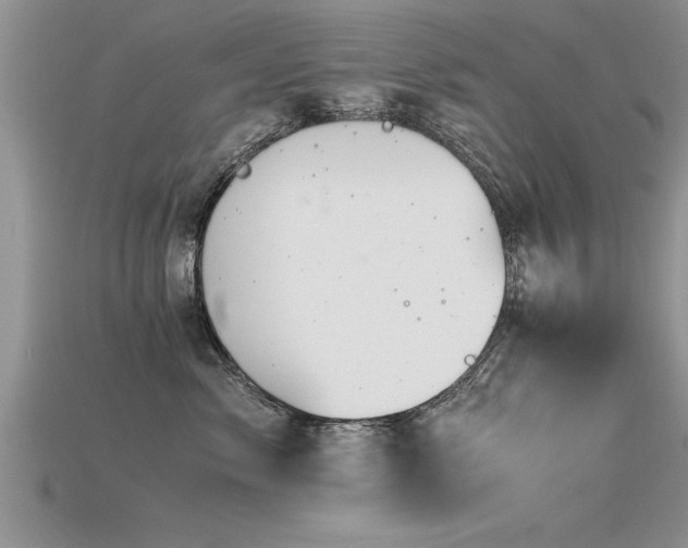 X0000115760717200911131156