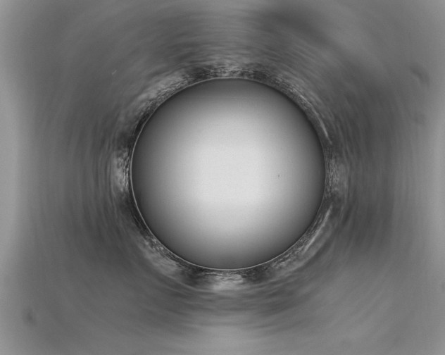 X0000115760719200911131156