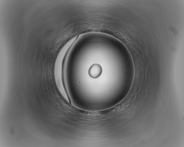 X0000115760720200911131156