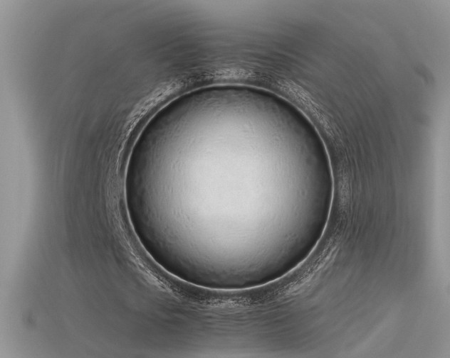 X0000115760721200911131155