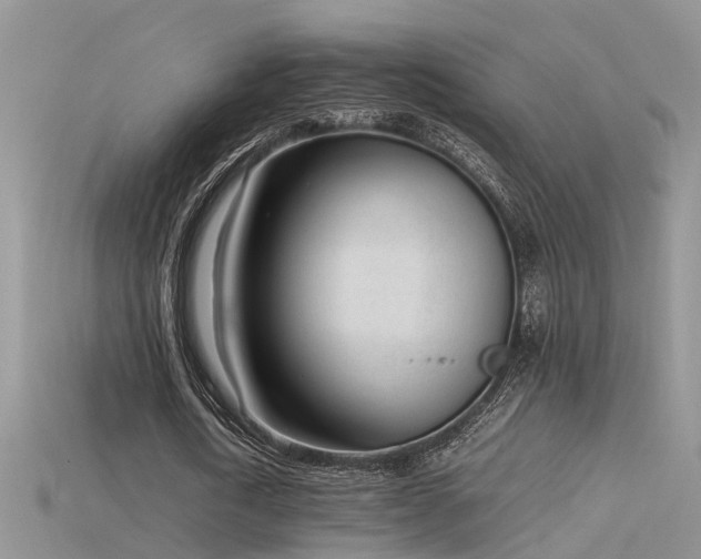 X0000115760722200911131155