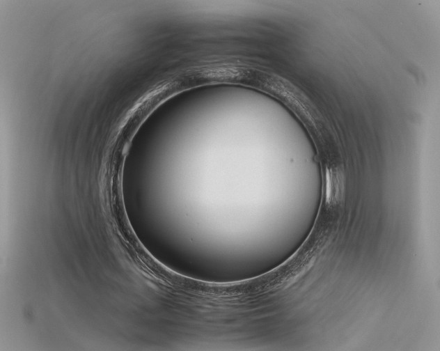 X0000115760723200911131155