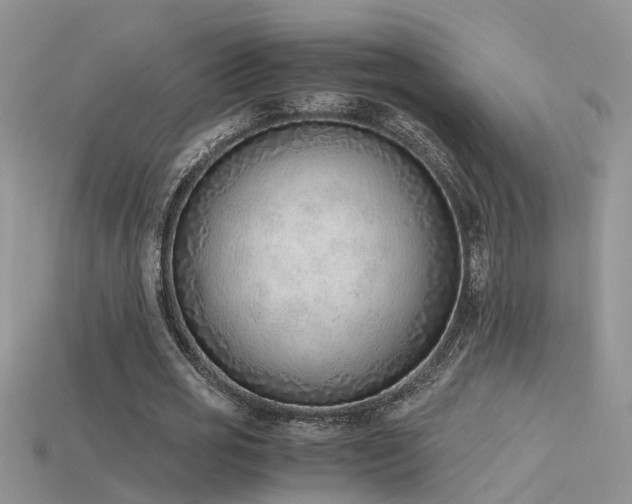 X0000115760725200911131155