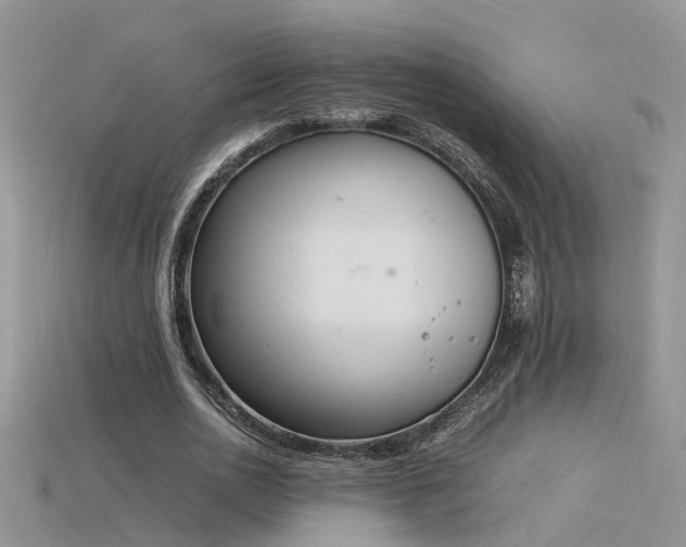 X0000115760726200911131155
