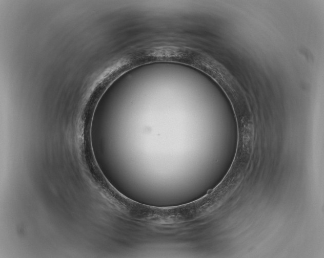 X0000115760727200911131155