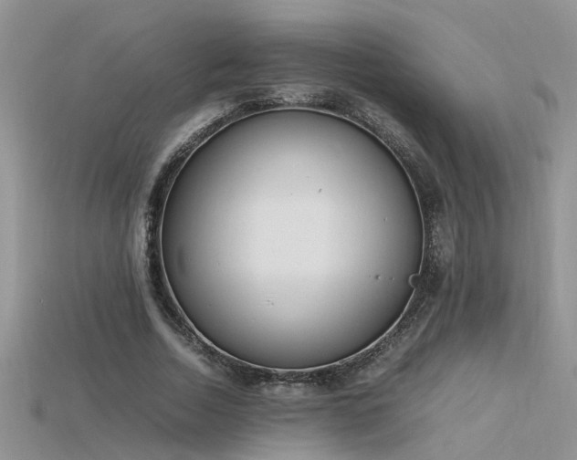 X0000115760730200911131155