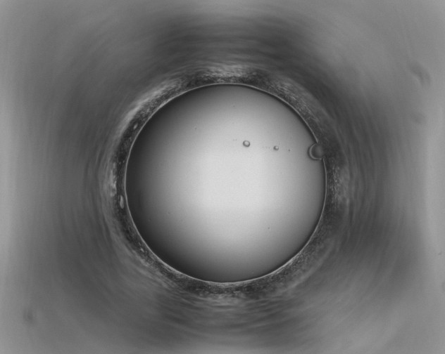 X0000115760731200911131155