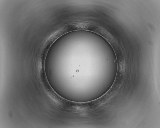 X0000115760733200911131155