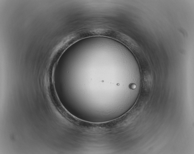 X0000115760734200911131155