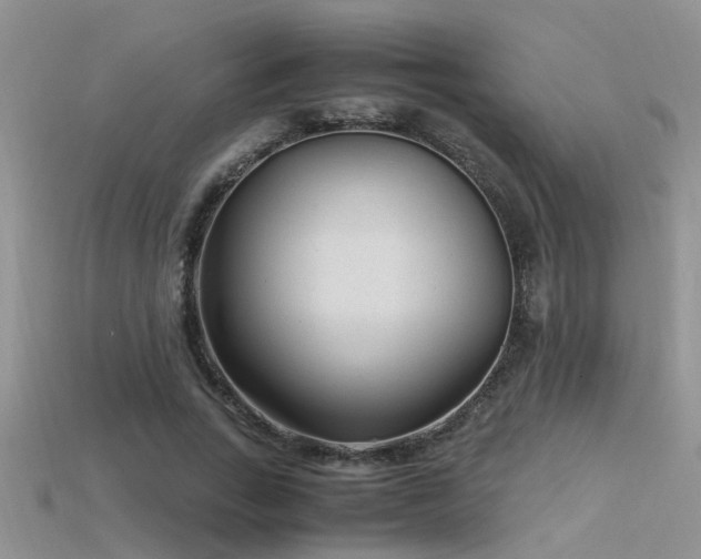 X0000115760735200911131155