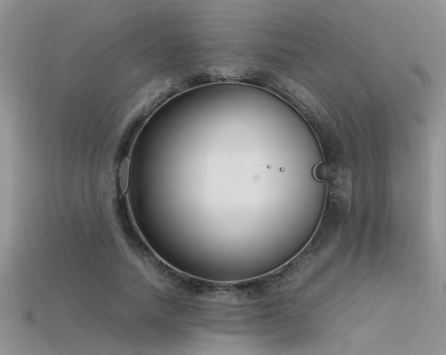 X0000115760738200911131155