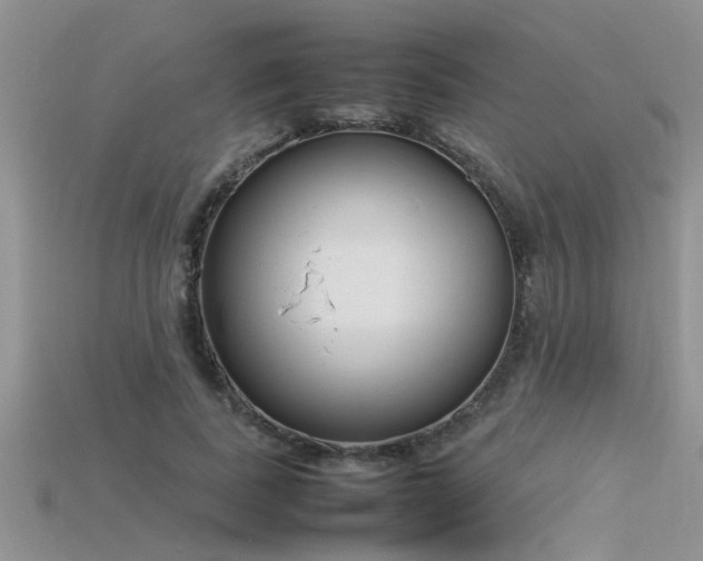 X0000115760739200911131155