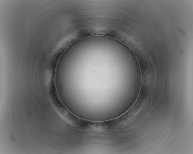 X0000115760742200911131155