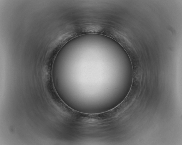 X0000115760743200911131155