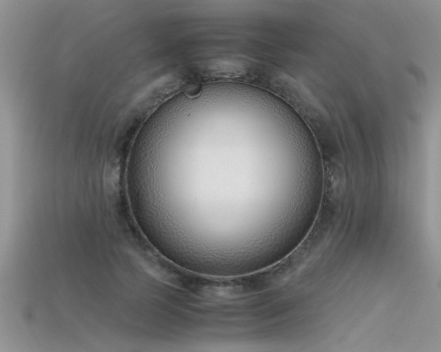 X0000115760745200911131155