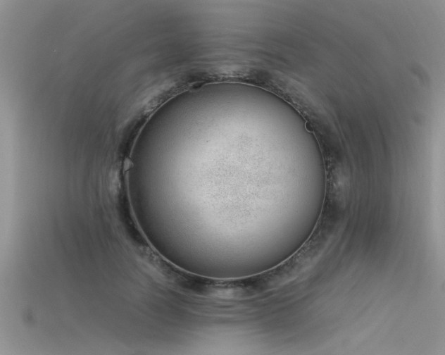 X0000115760746200911131155