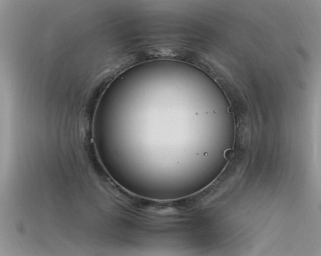 X0000115760747200911131155